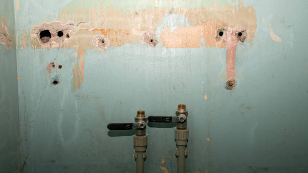 Best Sewage cleanup and water damage restoration  in Shrewsbury, PA
