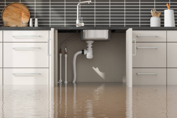 Best Flooded house restoration  in Shrewsbury, PA