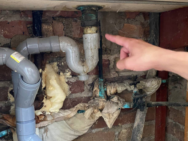 Best Flooded house restoration  in Shrewsbury, PA